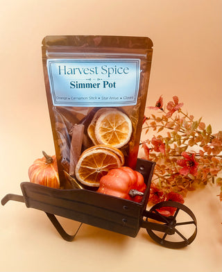 Simmer Pot: Harvest Spice