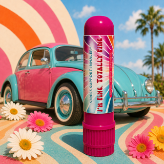 Everyday Crap - Inhaler