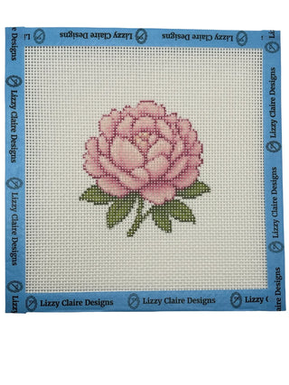Peony In Blossom Canvas