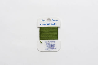 Essentials Cards - Alligator