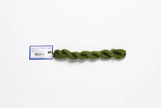 Milan Skein - Iguana