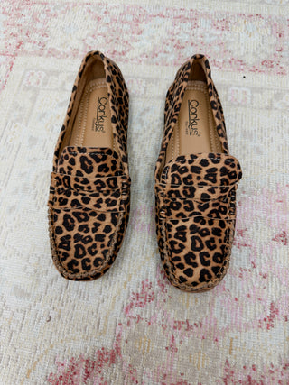 Corky's: Penny For Your Thoughts - Leopard