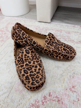 Corky's: Penny For Your Thoughts - Leopard